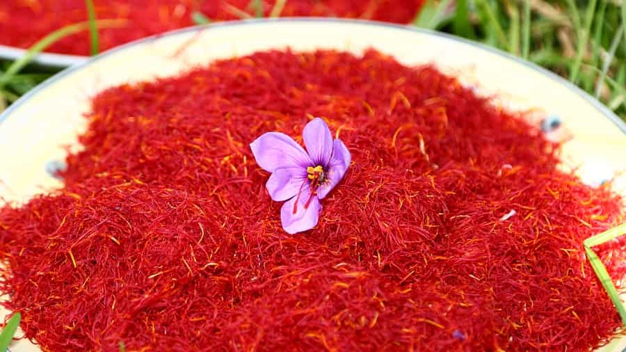تصویر 2 از خرید زعفران ایرانی + قیمت فروش استثنایی